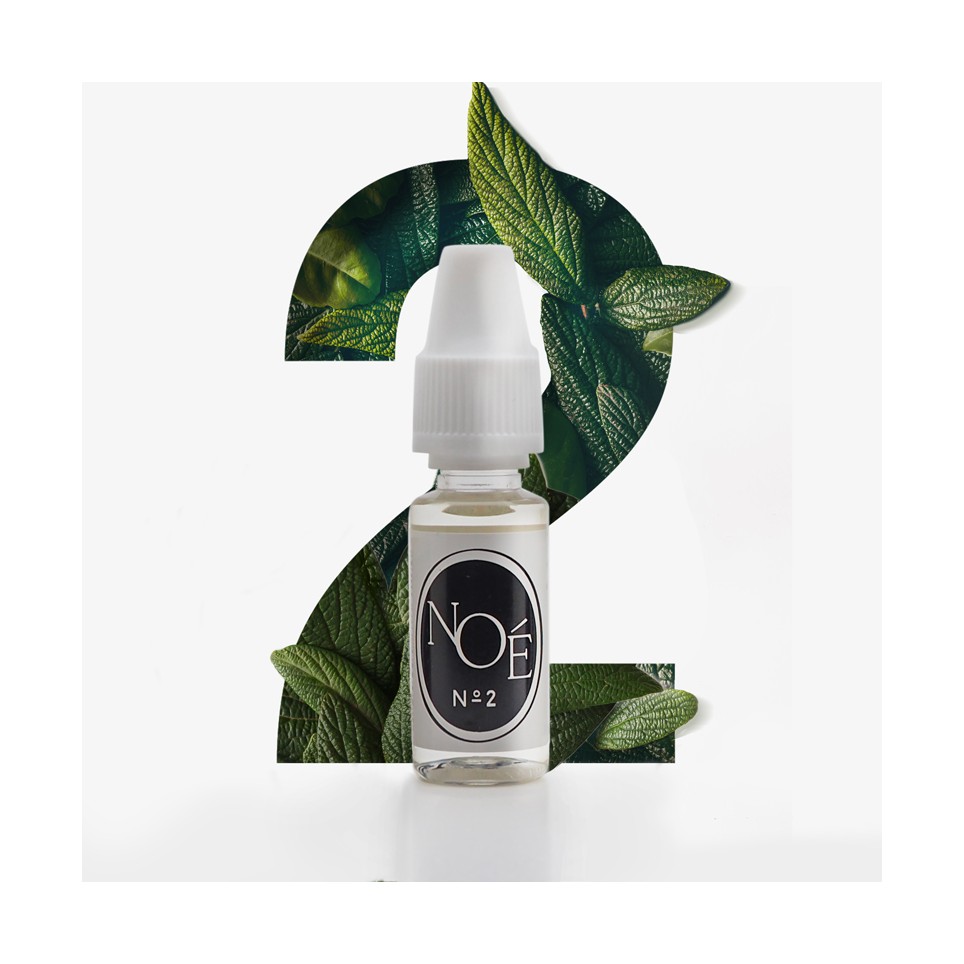 chargement de l'image